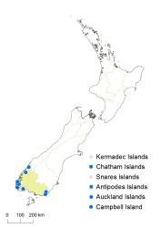 Hypolepis amaurorachis distribution map based on databased records at AK, CHR & WELT.
 Image: K. Boardman © Landcare Research 2017 CC BY 3.0 NZ
